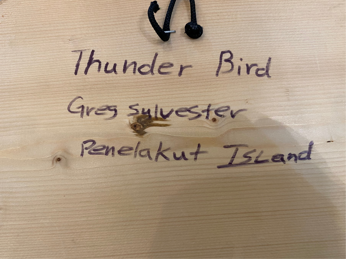 Thunderbird in Flight