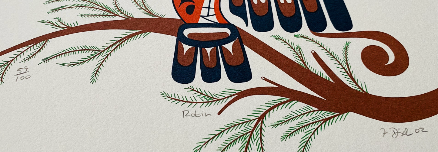 Robin - Francis Dick