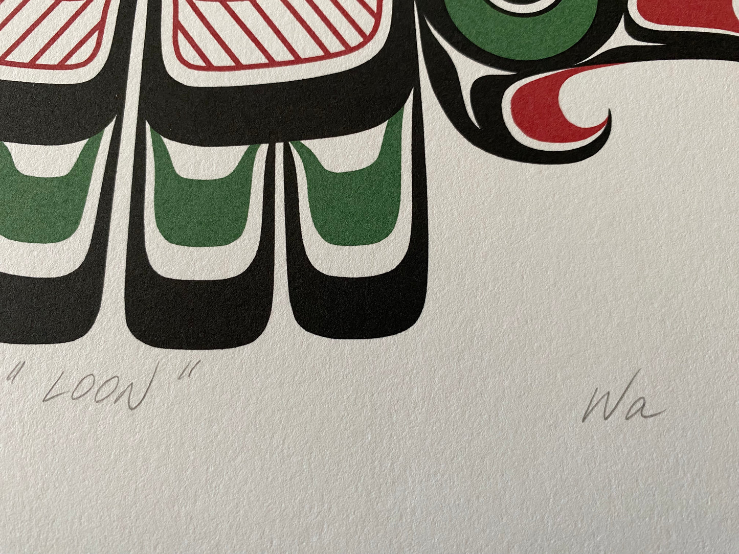Loon - William Wasden