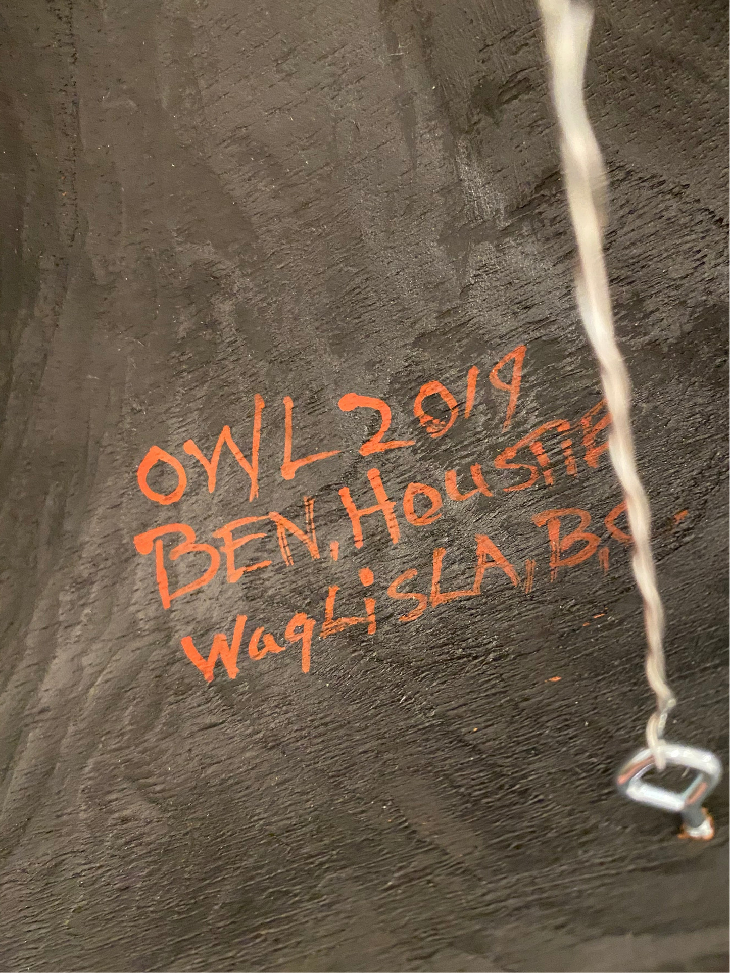 Owl Mask