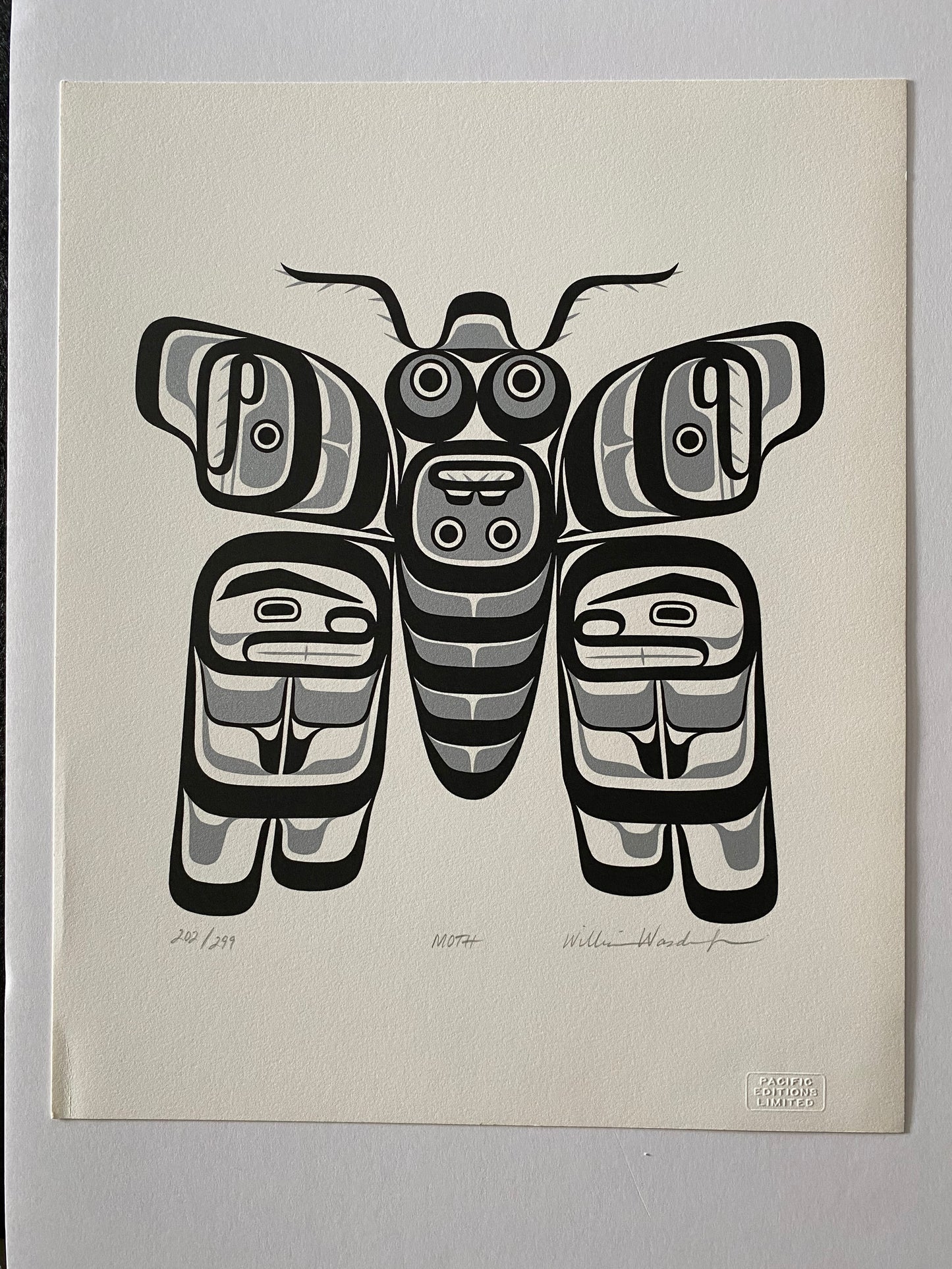 Moth - William Wasden