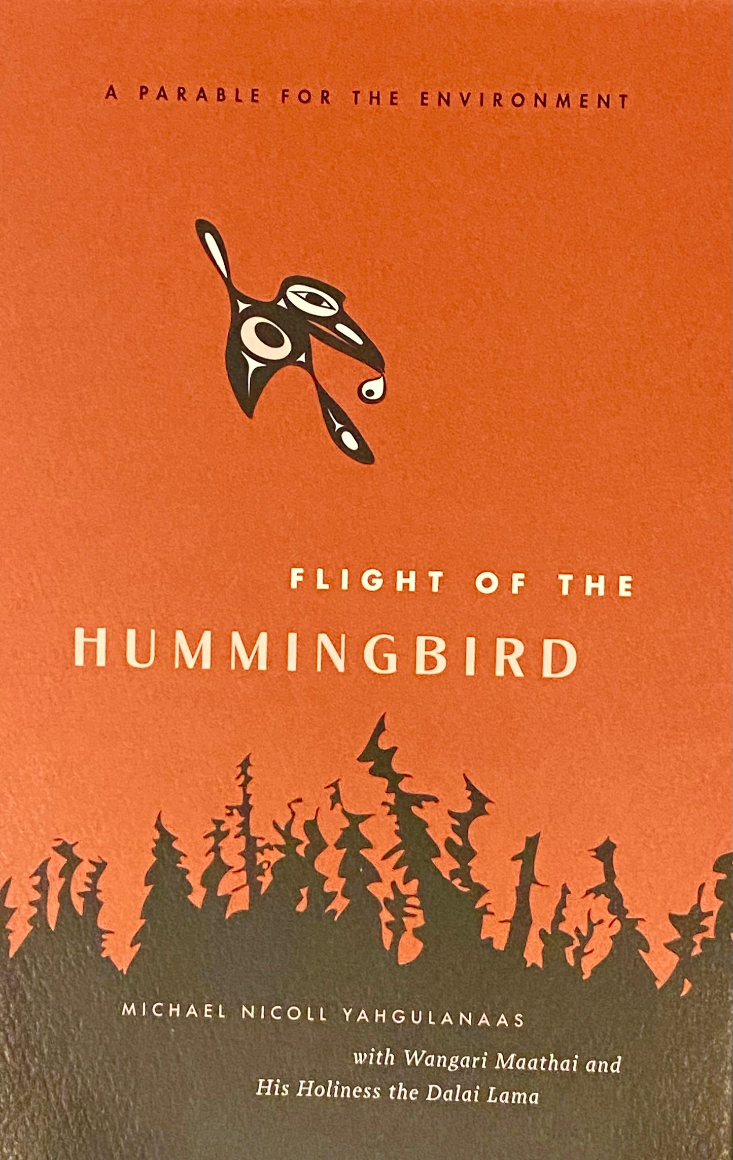 Flight of the Hummingbird - Book