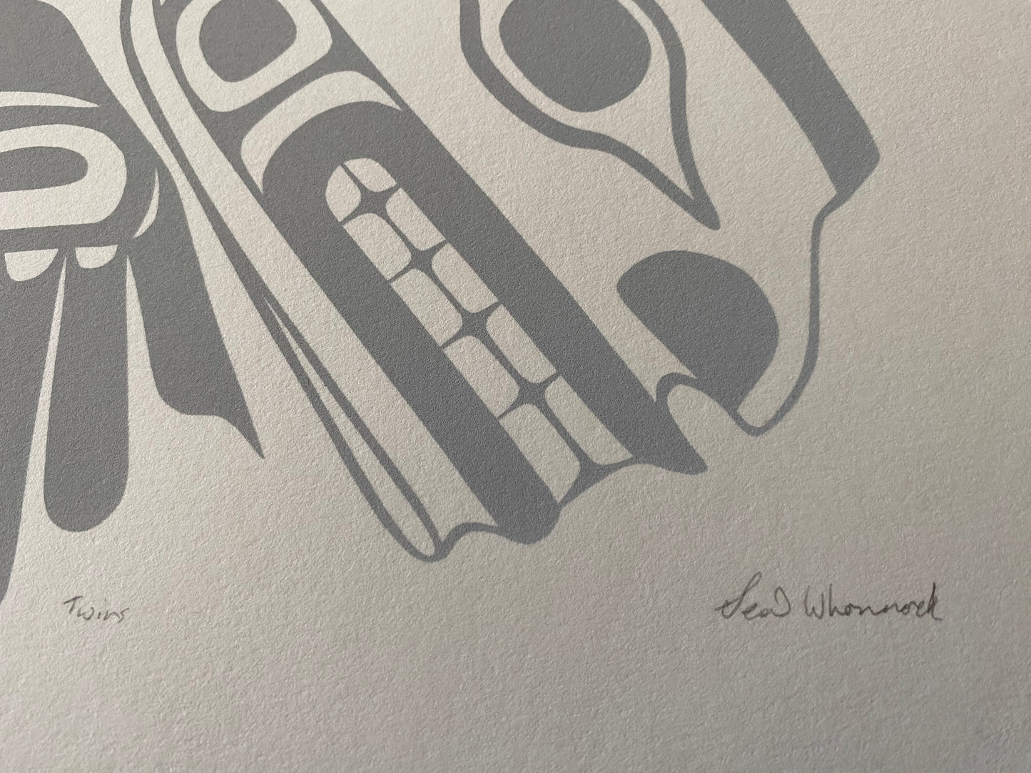 Twins - Sean Whonnock