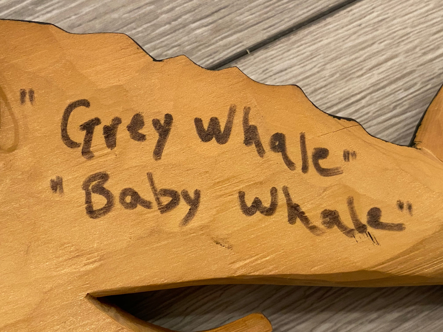 Grey Whale & Calf