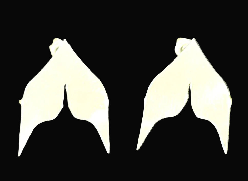 Sterling Silver Whale Tail Earrings (posts)