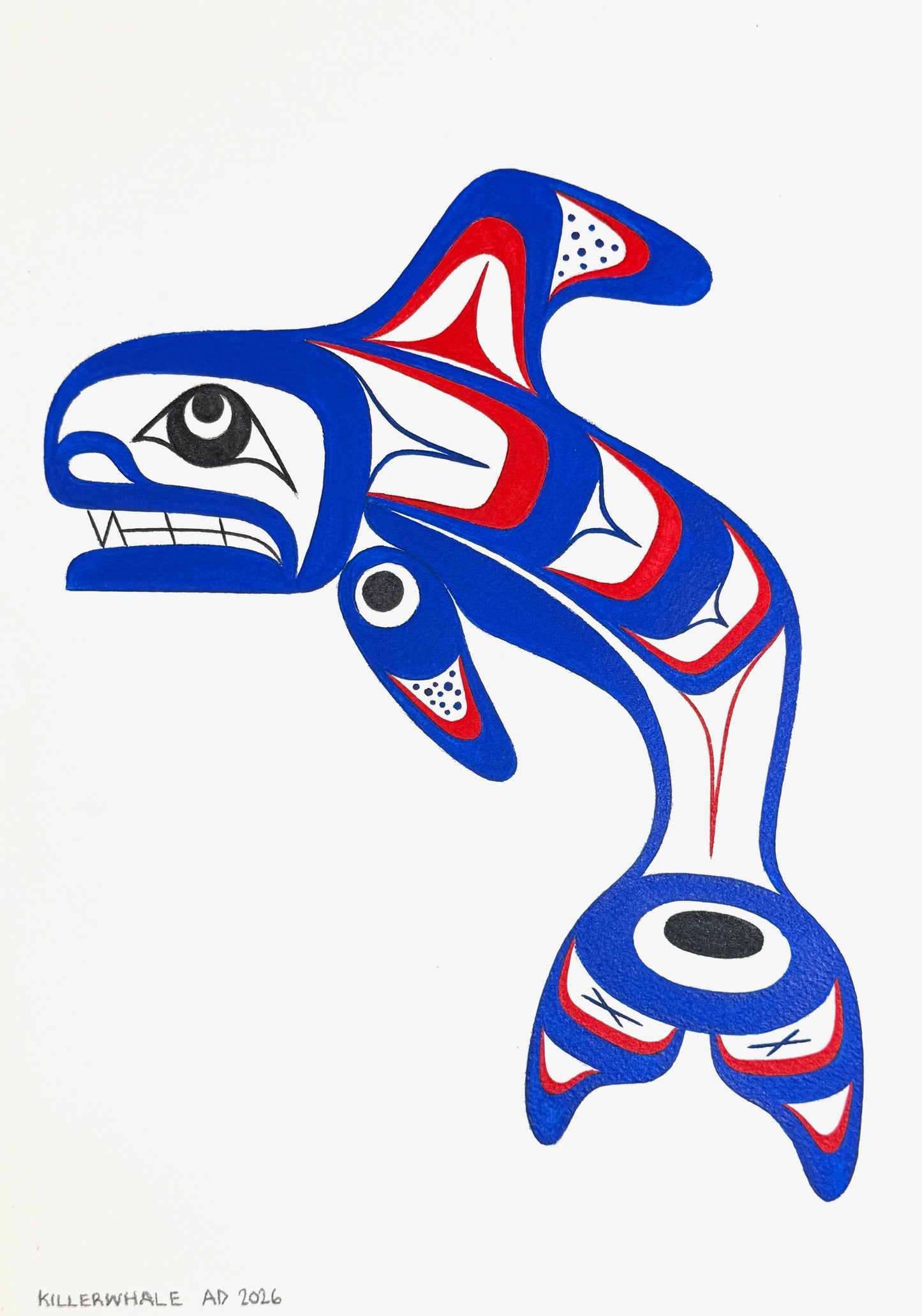 Leaping Killer Whale