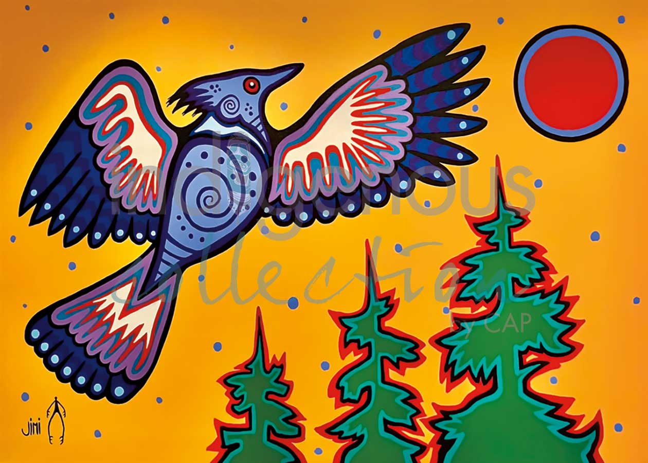 “Diindiisi” Blue Jay (framed)