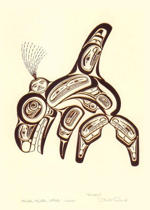 Haidi Killer Whale - Skaana