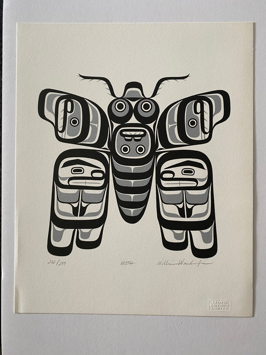 Moth - William Wasden