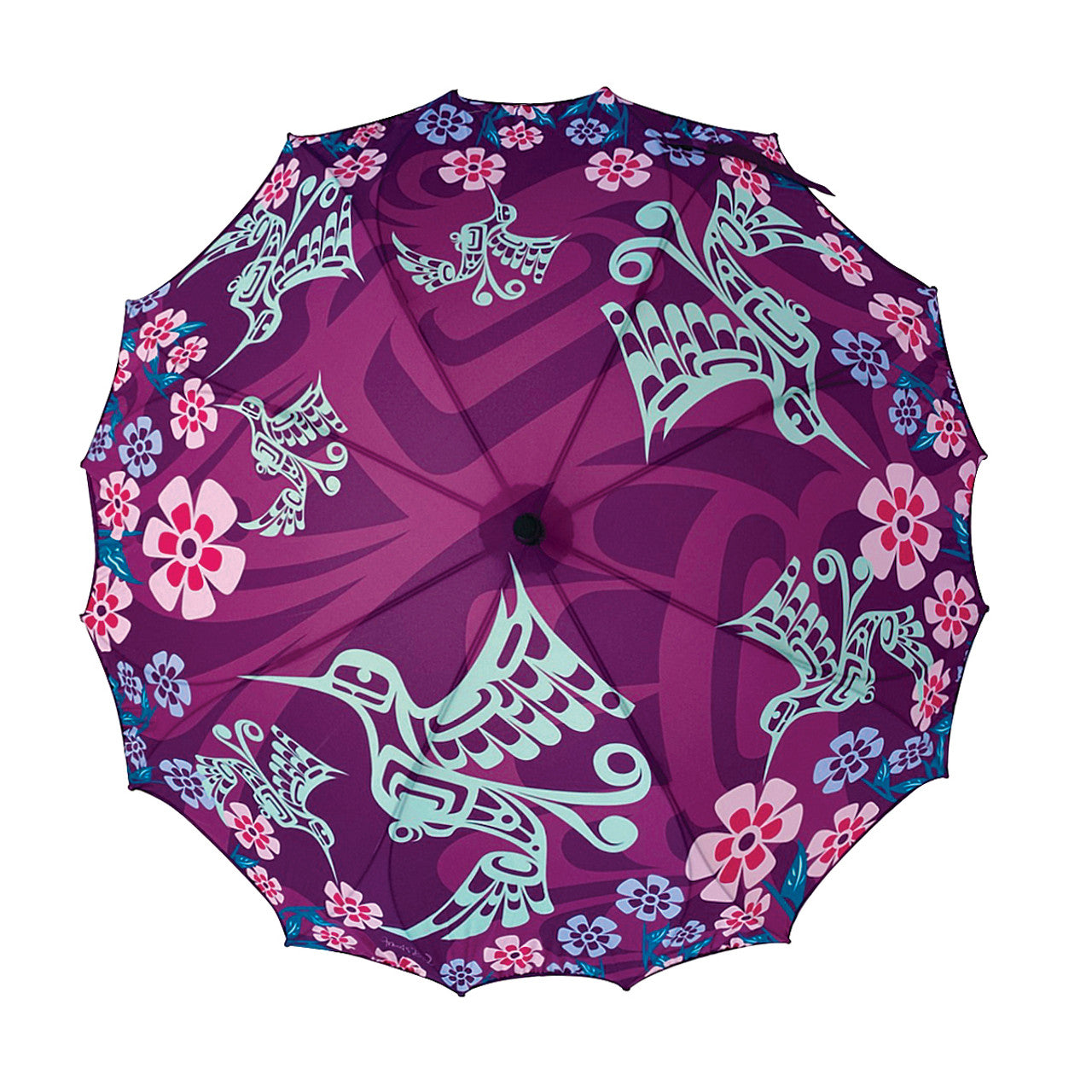 Hummingbird Pacific Umbrella - Francis Dick