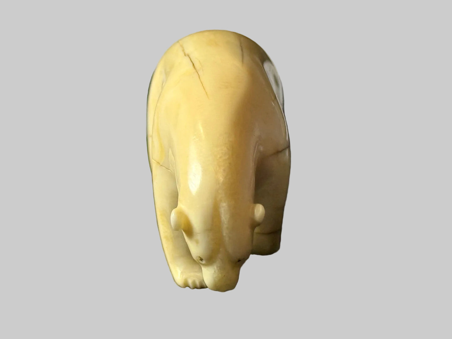 Vintage Ivory Walrus Tusk Polar Bear