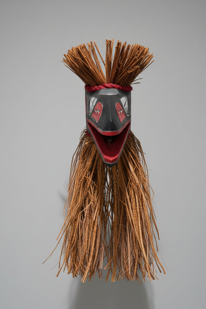 Salish Raven