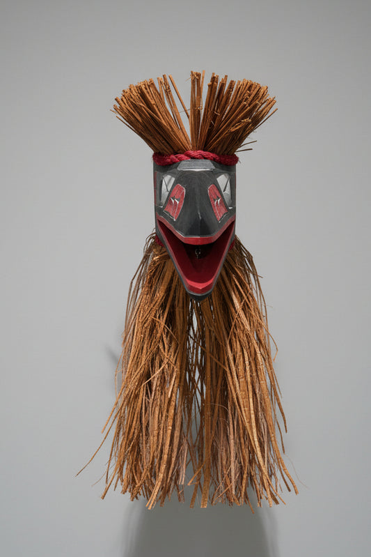 Salish Raven