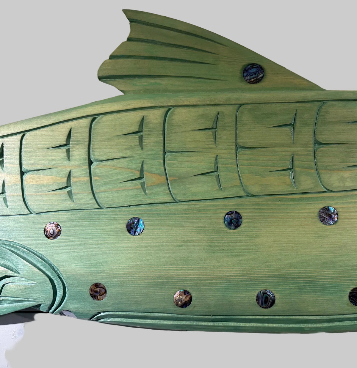 Large Salish Sea Salmon #2