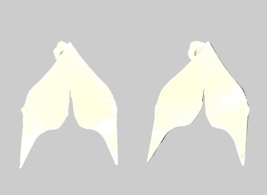 Sterling Silver Whale Tail Earrings (posts)