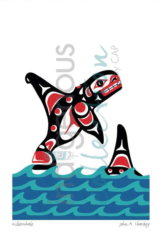 Killer whale