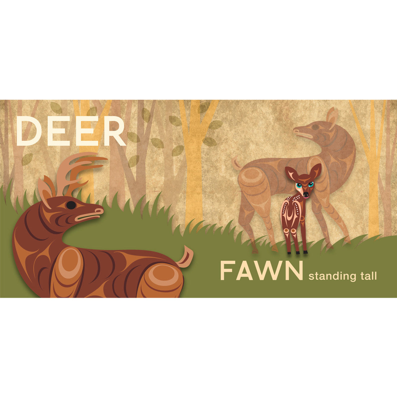 Board Book - Animals & Their Babies