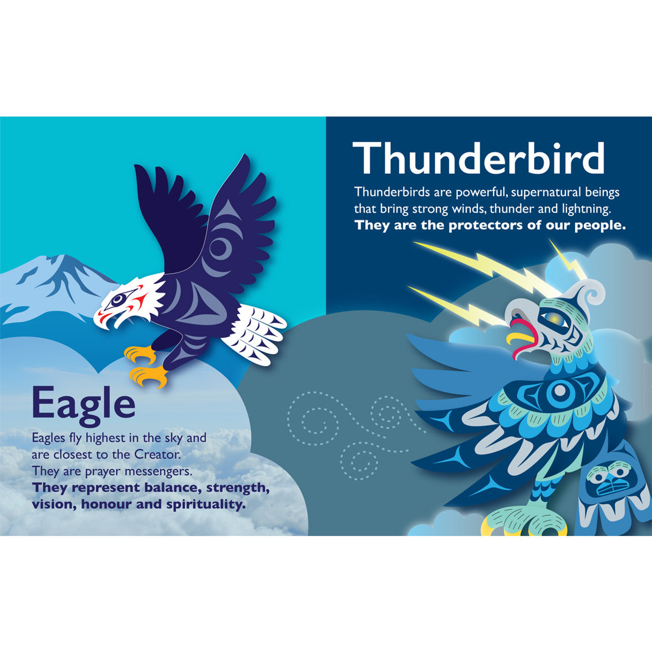 Board Book - Animals of the Salish Sea