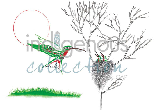 Hummingbird Nest (Framed) Ricard Shorty