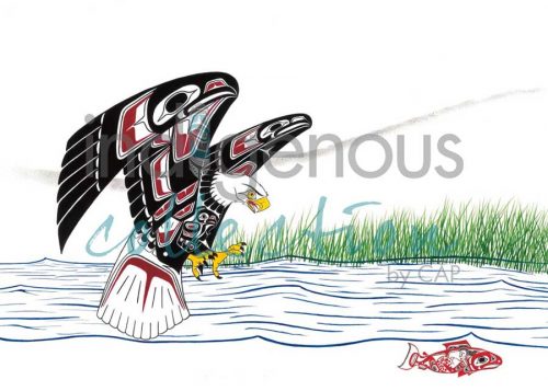 Eagle Salmon Chase